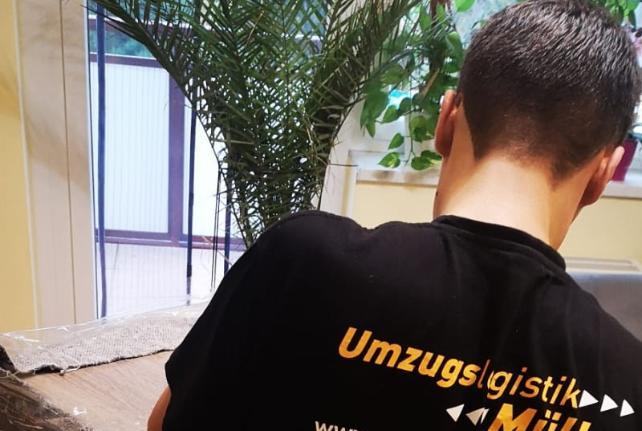Laborumzug Hirschstein stressfrei umziehen 
